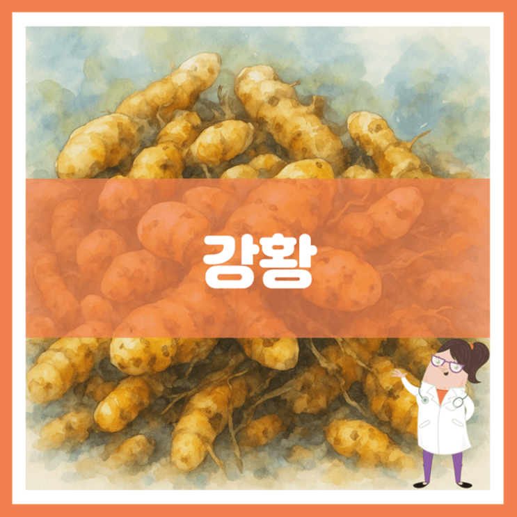  강황 효능 섭취방법 부작용