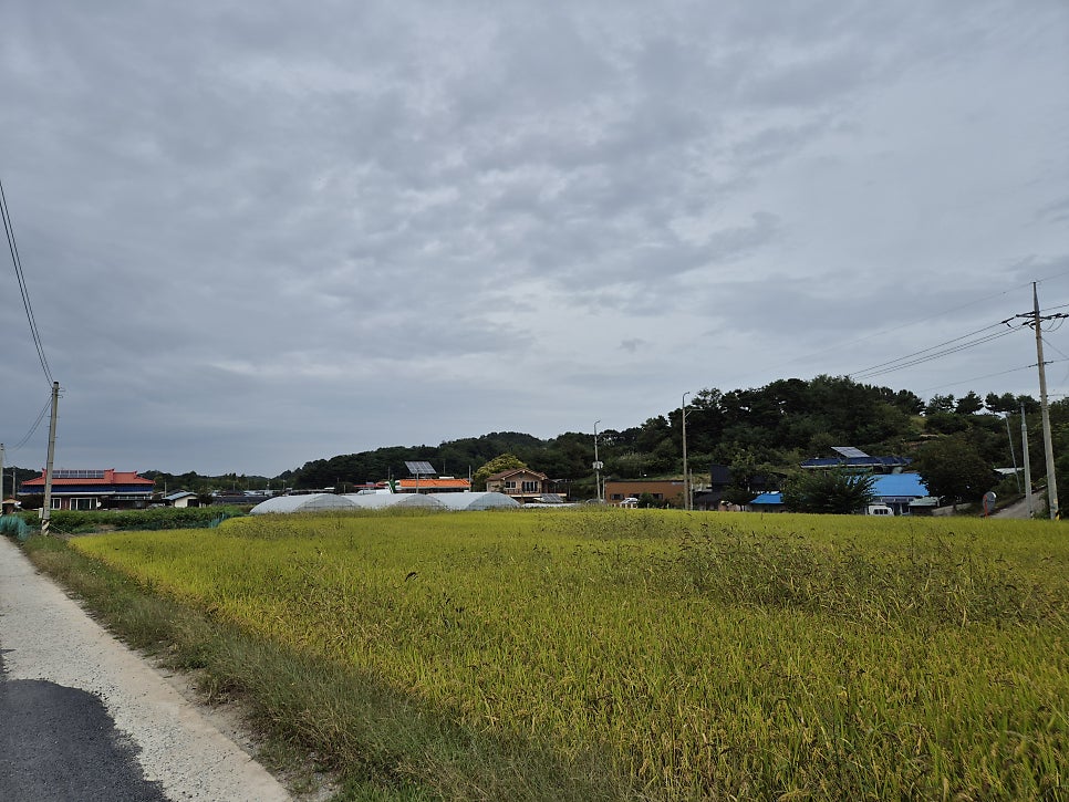 도랑골 사진 5