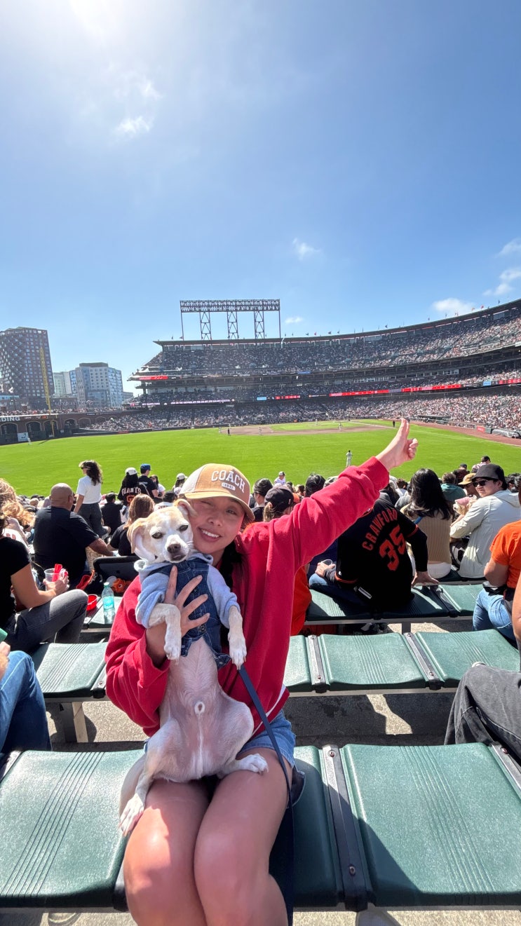  [SF] SF 자이언츠 도그 데이즈, 애견동반 야구 관람 강아지랑 오라클 파크 바람의 손자 이정후 SF Giants dog days at Oracle Park
