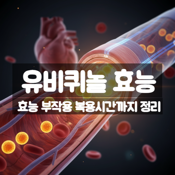  유비퀴놀 효능 부작용 복용시간 – 코엔자임Q10으로 항산화와 심혈관 건강 지키기