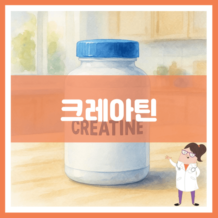  크레아틴 효능 섭취방법 부작용