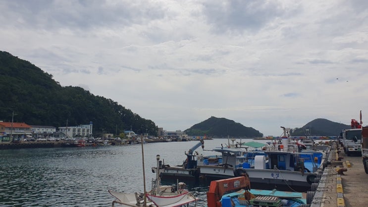  무알코올 맥주 운전 단속 될까 안 될까