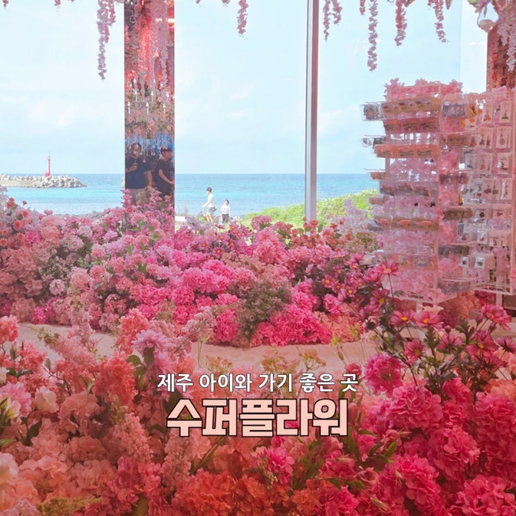  제주신상핫플 수퍼플라워, 꽃으로 뒤덮인 이색 카페