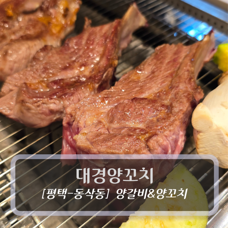  평택 동삭동맛집 :: 대경양꼬치 - 양갈비 후기