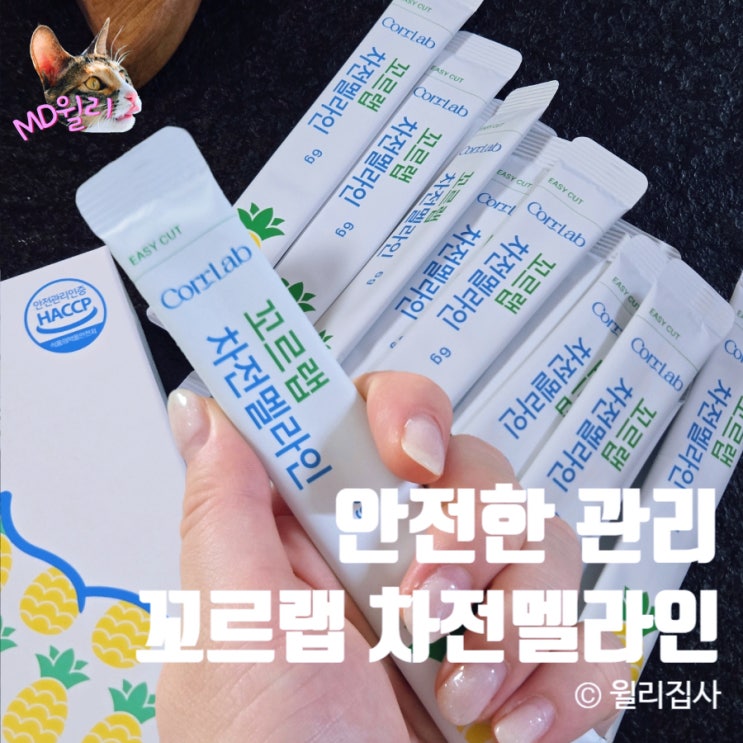  꼬르랩 차전멜라인으로 시작하는 안전한 관리