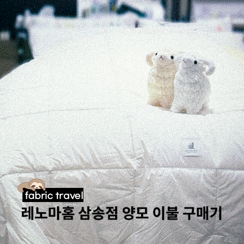  포근함과 통기성 좋은 천연 뉴질랜드 양모이불 구매기