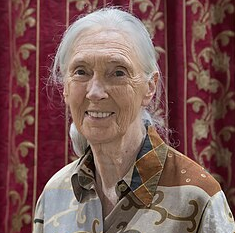  제인 구달(Jane Goodall) 동물학자