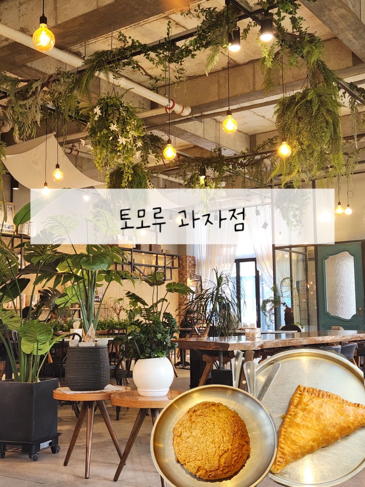  [청라빵집] 토모루 과자점,제과기능장이 만든 인증된 맛집 주차 편한 대형 베이커리 카페