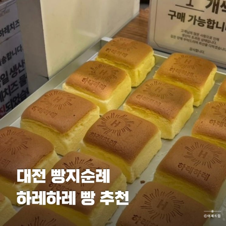 대전 빵지순례 도안동 빵집 하레하레 빵 추천 추석선물세트