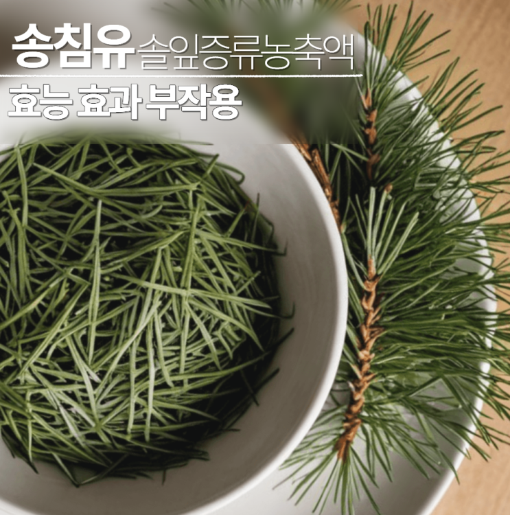  송침유효능 솔잎증류농축액 적송유