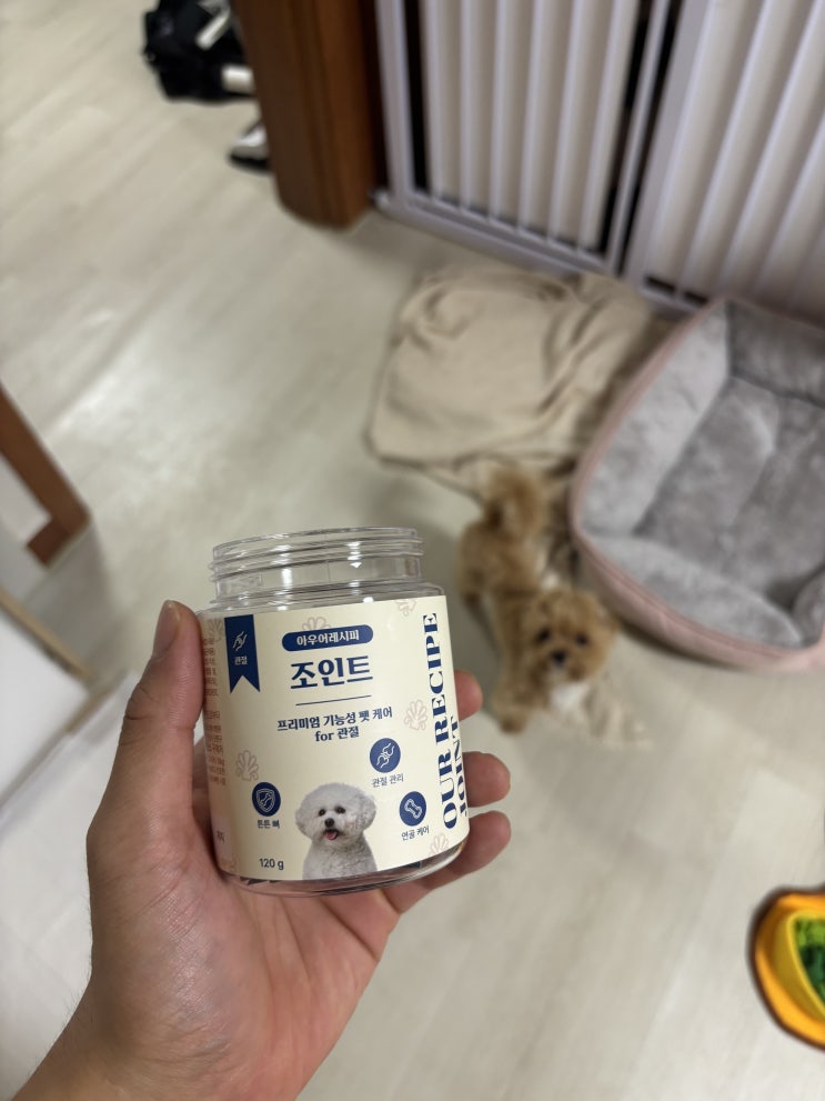  강아지  관절 영양제 후기  슬개골 탈구 예방법