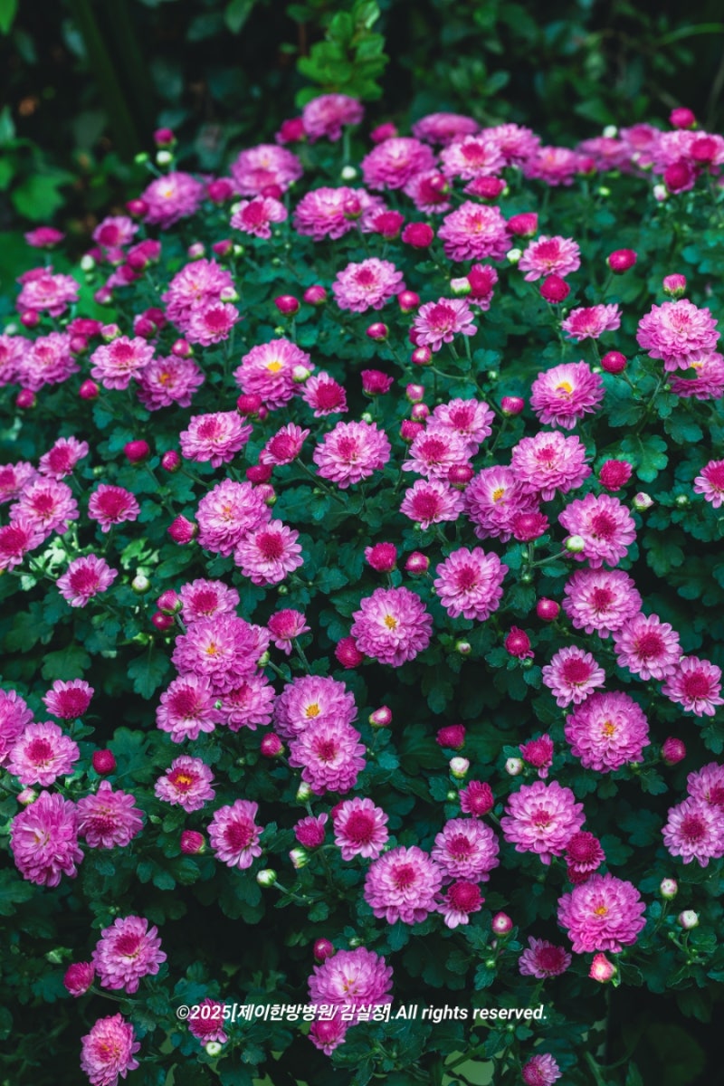 사진 6