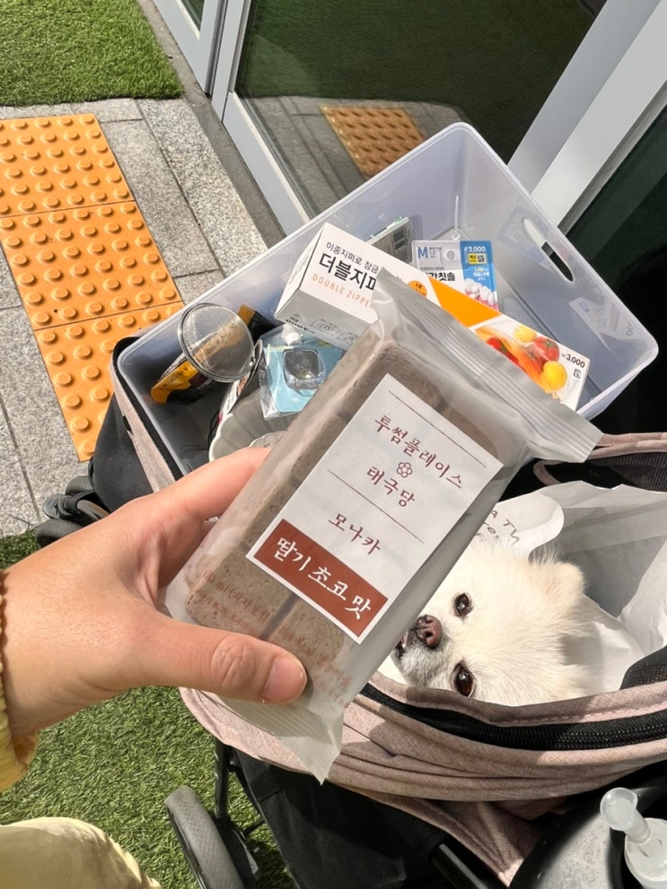 태극당투썸플레이스 X 태극당 콜라보, 투썸 태극당 모나카 딸기초코 먹어본 후기