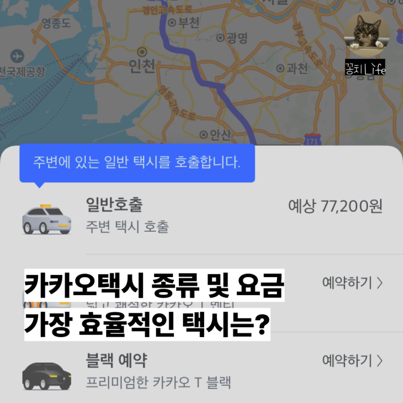 카카오택시 종류 및 가격 비교: 내 상황에 맞는 가장 효율적인 선택은? (서울 기준)