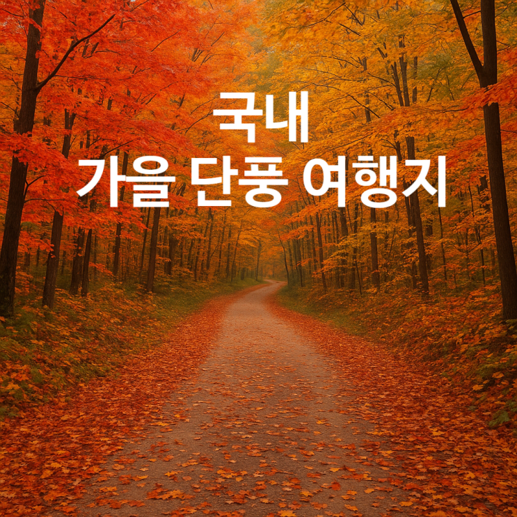 [여행 Tip] 국내 가을 단풍 여행 명소 추천 _ 25년 단풍 예상 절정 시기