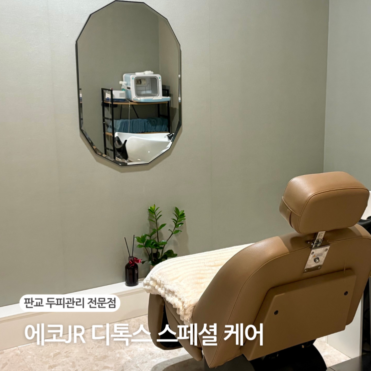  분당 판교 두피관리 탈모관리 추천 에코JR 디톡스 케어