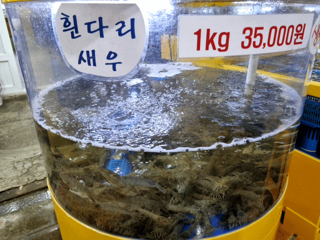  안면도 횟집 안면도바다수산 모듬조개 새우 포장 후기