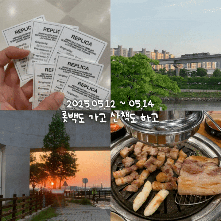  5월일상 3 :: 빵댕이에 주사 맞아서 술 못 마심
