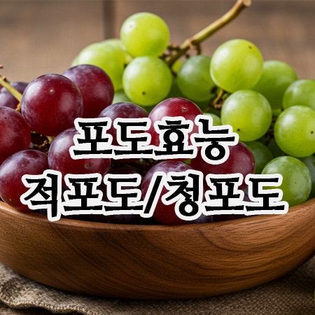  포도 효능 색깔별로 다르다! 적포도 vs 청포도