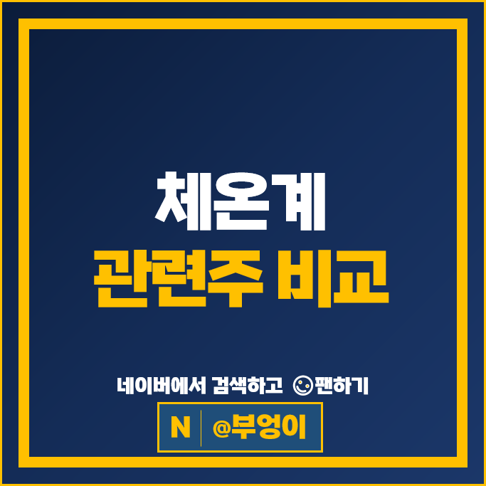  체온계 관련주 의료기기 주식 메디아나 카스 부광약품 주가