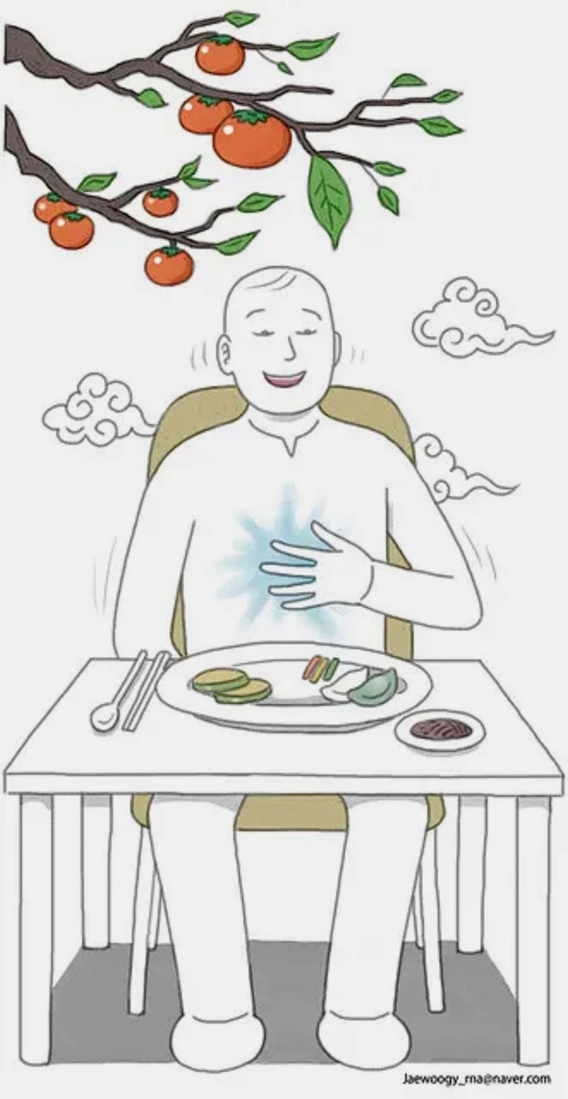 낙하산 착륙 가을 낙하산 애니메이션, 낙하산, 스포츠, 만화, 낙하산 병 png | PNGWing, image size:800x1547