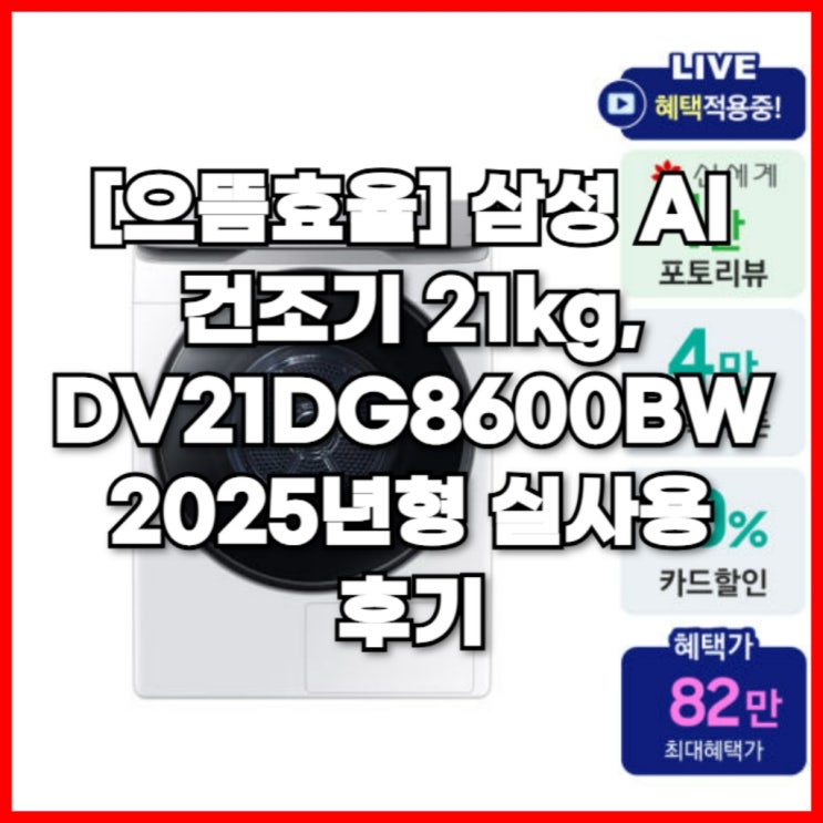  삼성 AI 건조기 21kg, DV21DG8600BW 2025년형 실사용 후기