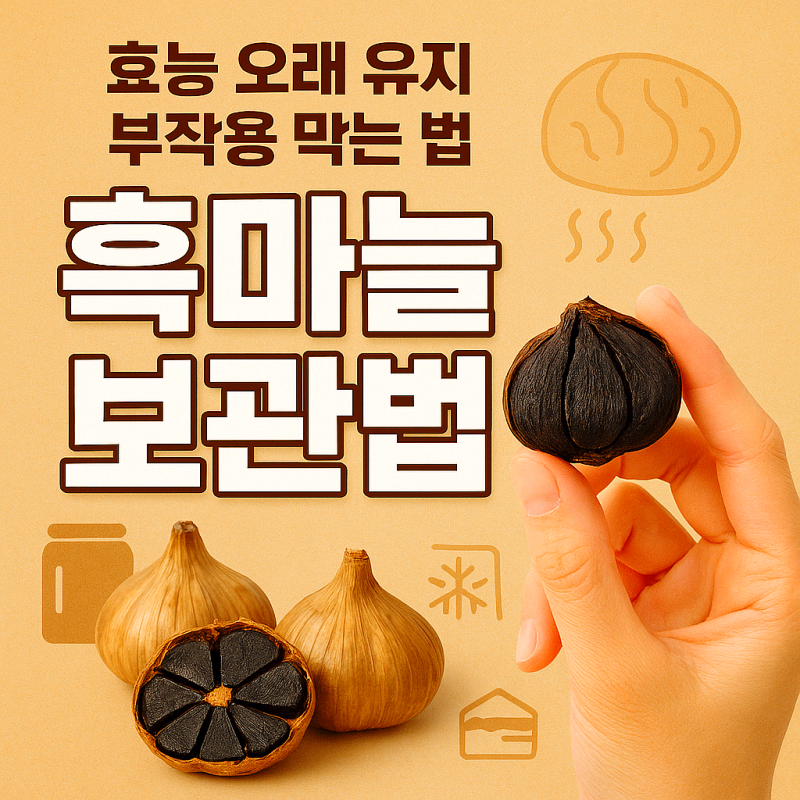 흑마늘 보관법｜효능 오래 유지하고 부작용 막는 꿀팁