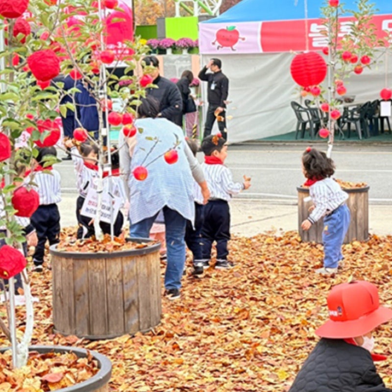 2025 홍천 사과축제 기본정보 일정 주차 토리숲 공원
