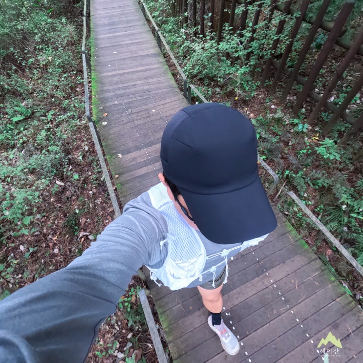  숲 속에서 달리는 즐거움! 광릉숲 국립수목원 7코스 산림욕길 러닝 후기