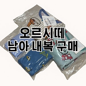 [5세 남아옷 추천] 오르시떼 남아 내복, 모달 팬티 내돈내산 후기