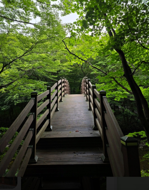 산림청, 추석 연휴에 가볼 만한 명품숲길 10선