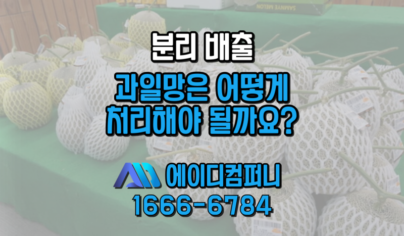 과일망 올바른 분리배출 방법과 이유