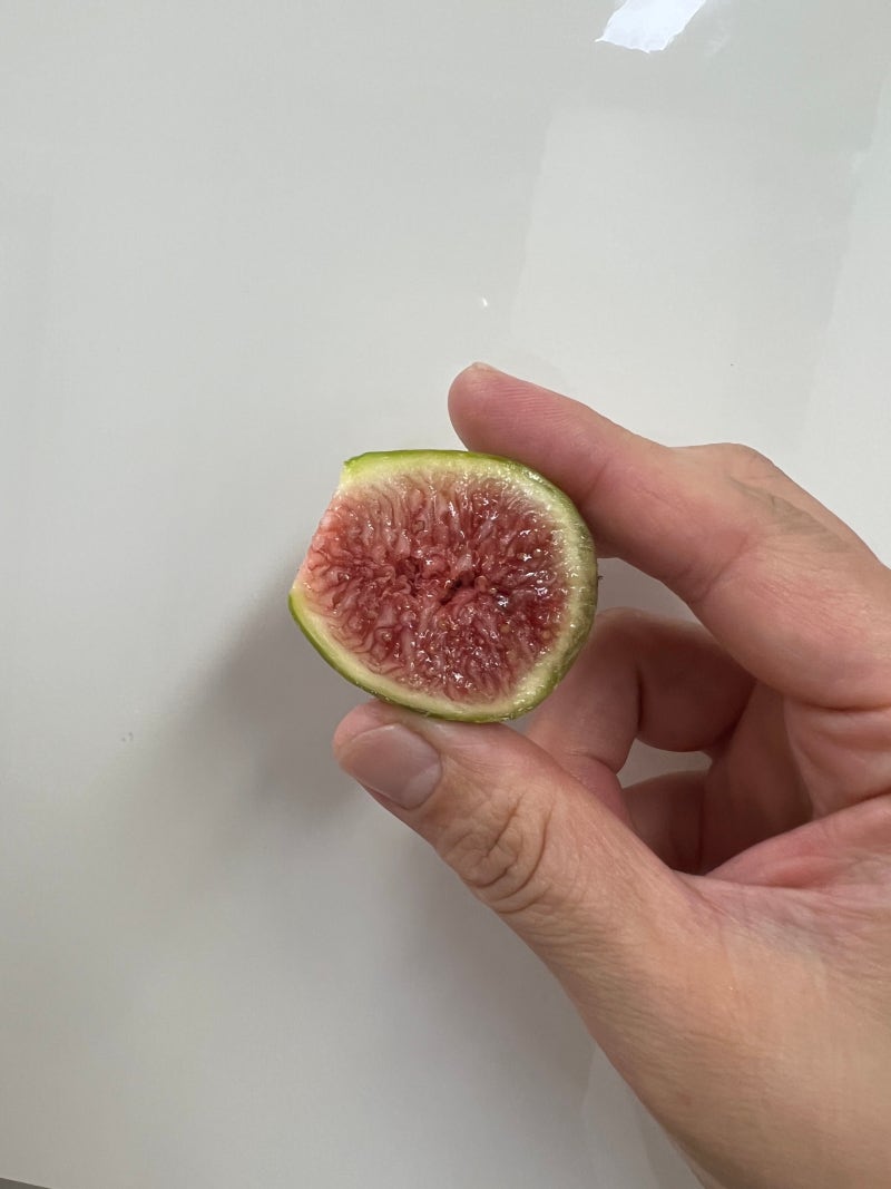 무화과 홍무화과 비교 먹는법 냉장 냉동 보관방법
