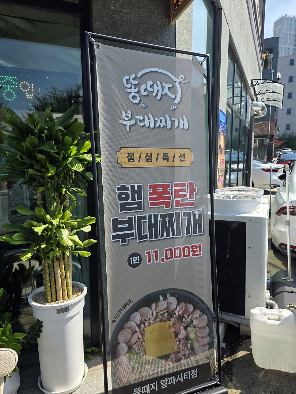 똥때지 사진 3