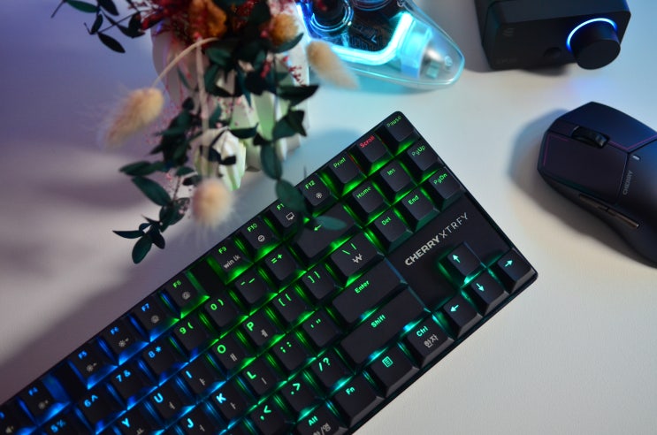 종결판 게이밍 키보드 CHERRY&XTRFY MX 8.2 PRO TMR TKL와 고성능 MW5500마우스 사용해 보니
