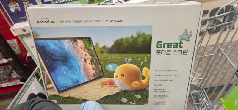 Great 포터블 스크린 후기
