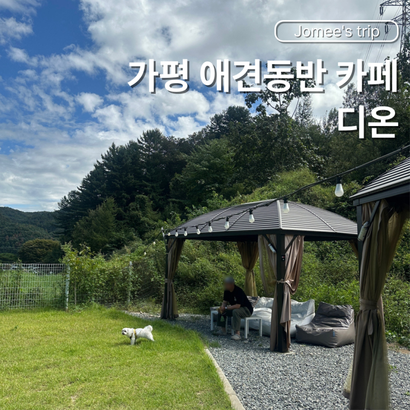 사진 2