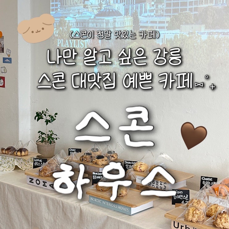  강릉 느좋감성 스콘 맛집 신상카페 ’스콘하우스‘