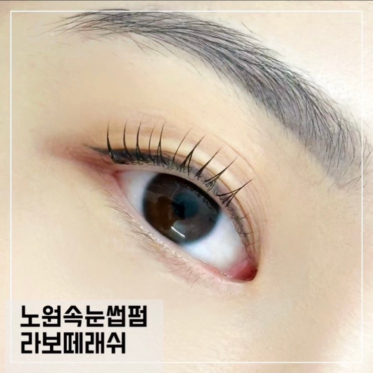  노원속눈썹펌 잘하는곳 라보떼래쉬 자연스러운 속눈썹펌 후기