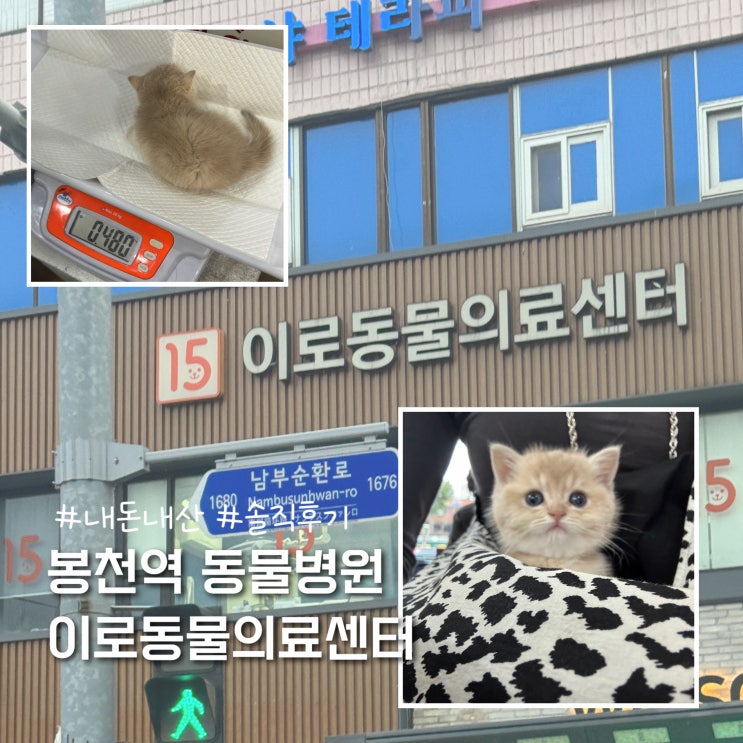  관악구 신림 봉천 동물병원 이로동물의료센터 내돈내산 후기