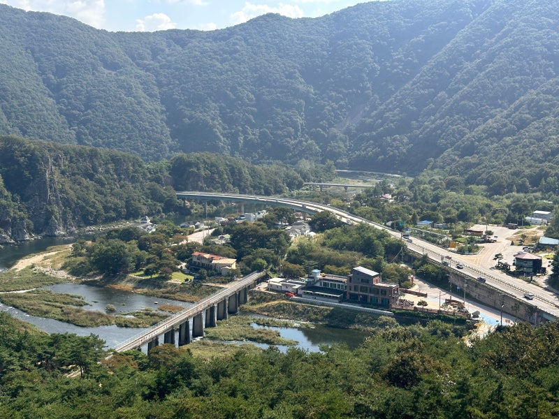 사진 6