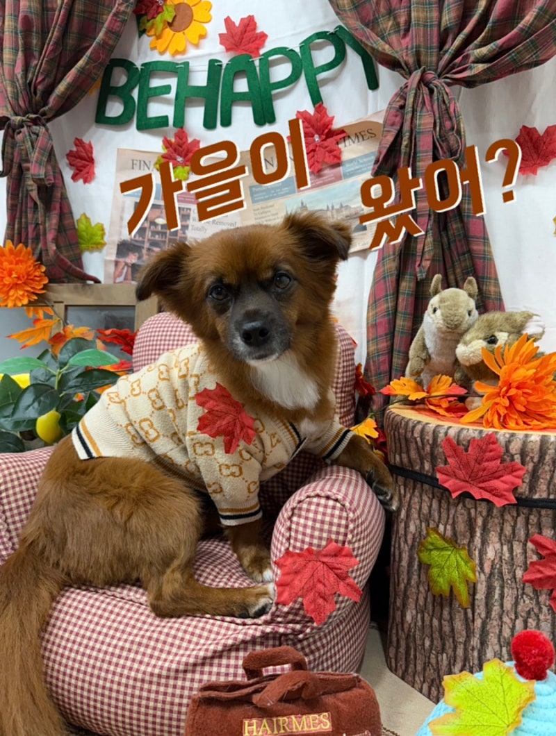 사진 3