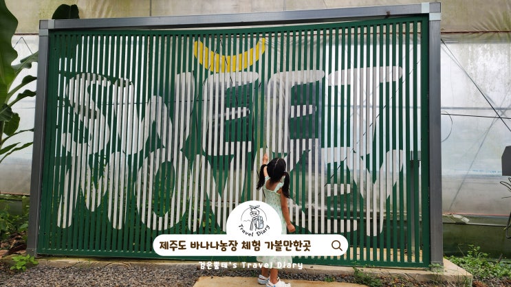  제주 서쪽 아이와 여행 가볼만한곳 스위트몽키 바나나농장 제주도 어린이 체험
