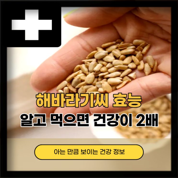  해바라기씨 효능 부작용 해바라기씨유 오일 불포화지방산