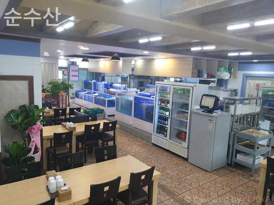 순수산 사진 3