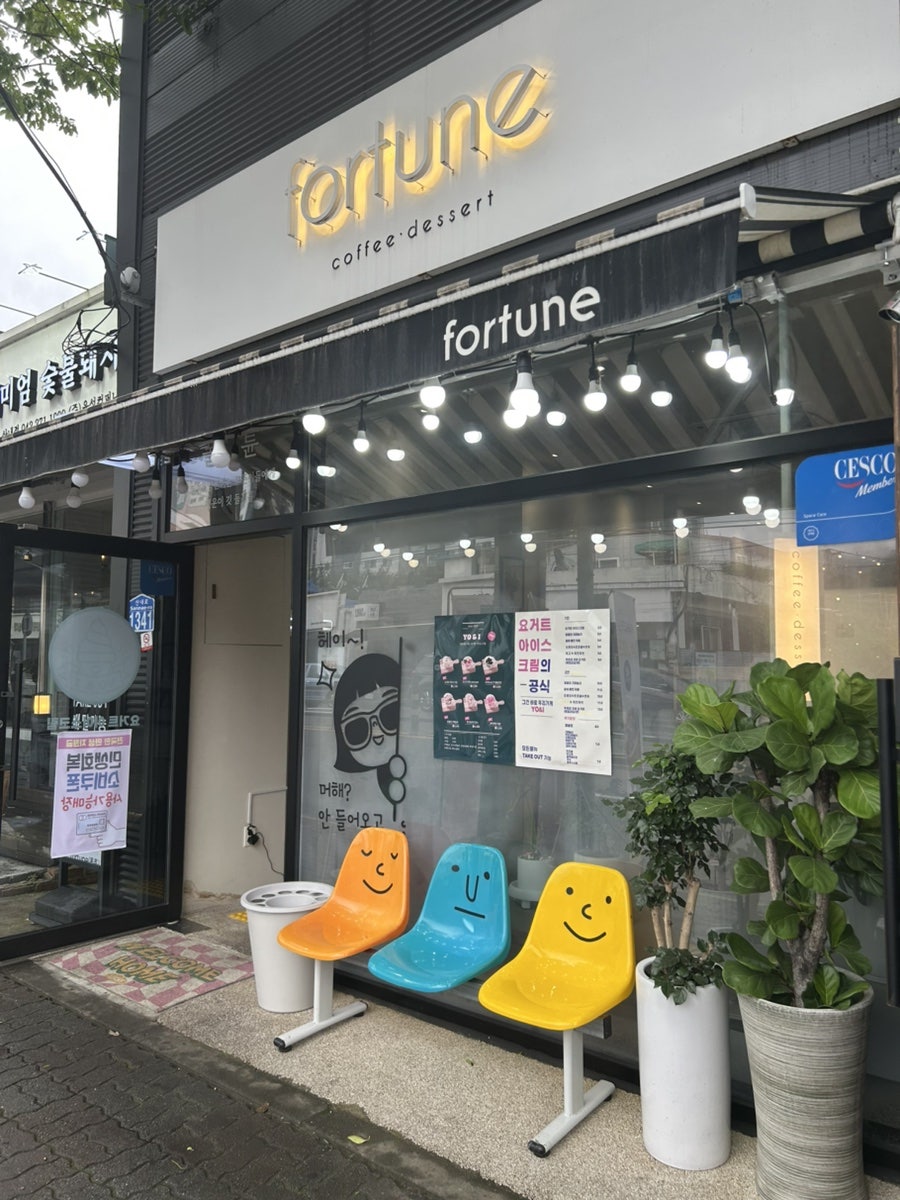 폴튠 사진 2