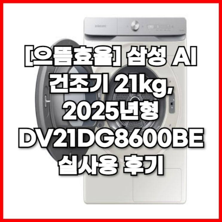  으뜸효율 삼성 AI 건조기 21kg, 2025년형 DV21DG8600BE 실사용 후기