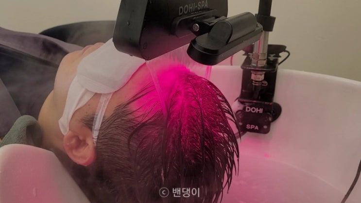  화성시청 두피관리 뷰티공감 스칼프 상세후기
