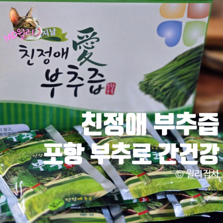  친정애부추즙 부추즙효능 포항 부추로 간 건강 챙기자