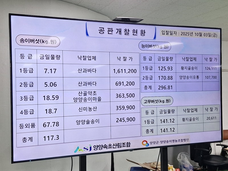 양양송이 공판가격 최고가 경신